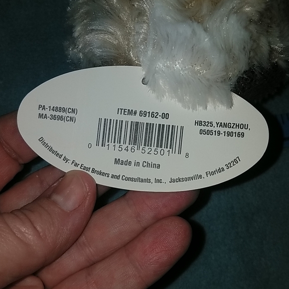 Brand new puppy - Picture 5 of 7